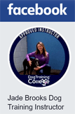 Dog Puppy Trainer Cardiff South Wales