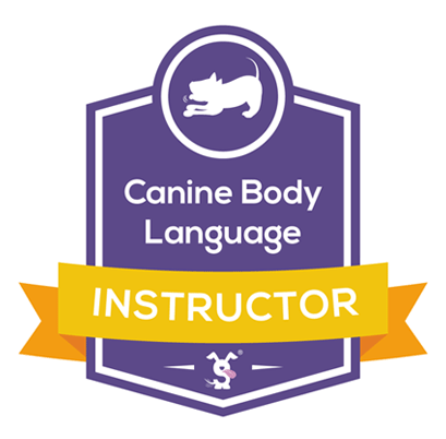 Dog Puppy Trainer Cardiff South Wales