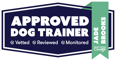 Dog Puppy Trainer Cardiff South Wales